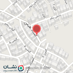 عکس پلیس + 10 خیابان استاد هیمن