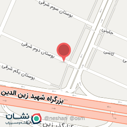 عکس کلید سازی بهاری