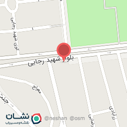 عکس لواشک هاشم 