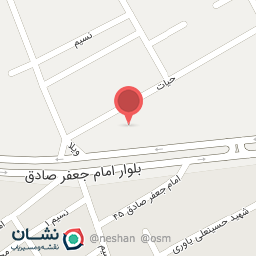 عکس پیتزا گندم