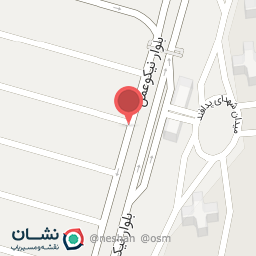 عکس کفش آداک چرم رسا