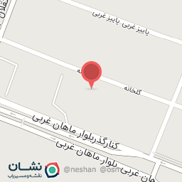 عکس بازار ماهی ماهان