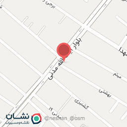 عکس پیتزا المپیک