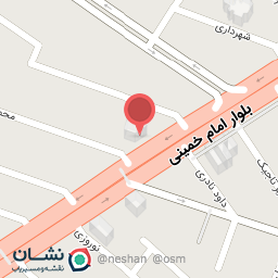 عکس پیتزا وساندویچی