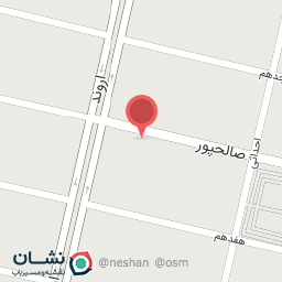 عکس فیزیوتراپی حیوانات آریل