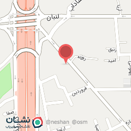 عکس گوشت آتش