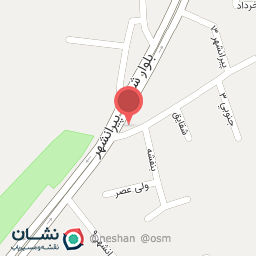 عکس اسنک کلاغ پر