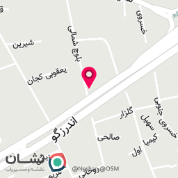 عکس آرایشگاه حیوانات خانگی