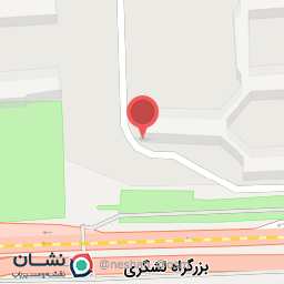 عکس پت استار