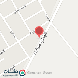 عکس پرنده فروشی حسین