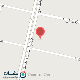 عکس دزدگیر حسینی