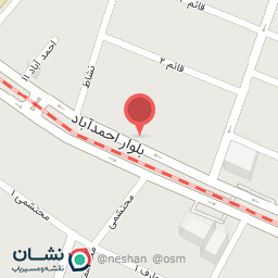 عکس پیتزا ویونا