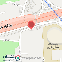 عکس تهیه غذای پینوبا