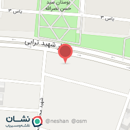 عکس پیتزا ساندویچ ایرانو 