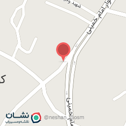 عکس تاکسی تلفنی نیک