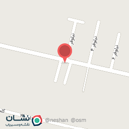 عکس اتوسرویس نیک