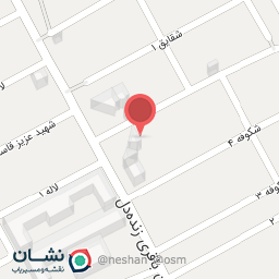 عکس پیتزا یگانه شعبه 1