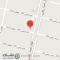 عکس دزدگیر پویا