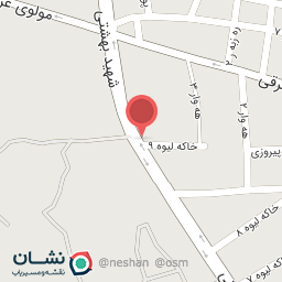 عکس کفش محمودیان