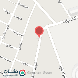 عکس دکتر ایربگ