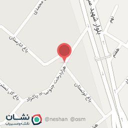 عکس کلينيک کاردرمانی و گفتاردرمانی و بازی درمانی نیک 