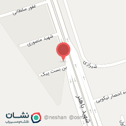 عکس اتو سرویس علی