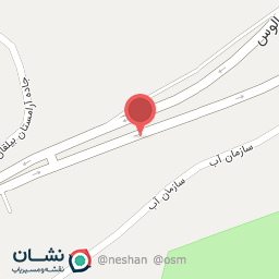 عکس گل گندم