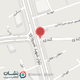 عکس پیتزا دومینو