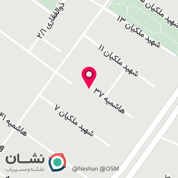 عکس فیشیال نیلی
