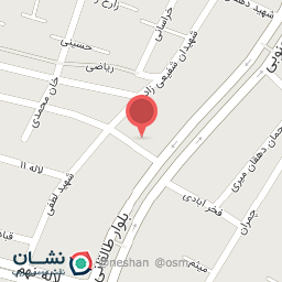 عکس پخش عسل سورکی زاده