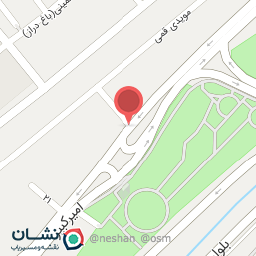 عکس لقمه کباب امین