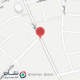 عکس تست انژکتور امیر