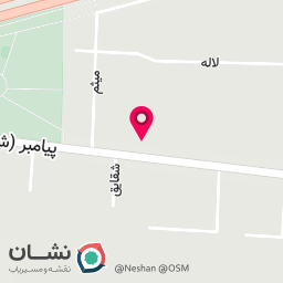 عکس نمایشگاه اتومبیل زعیم