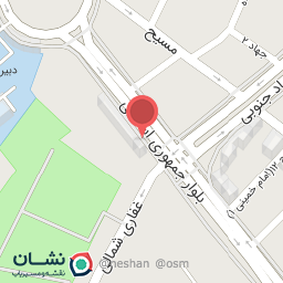 عکس کفش آریا