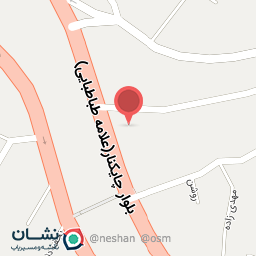 عکس تسلا تیونینگ