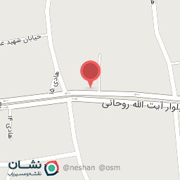 عکس مرغ زربال 