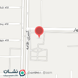 عکس تهیه غذای شایان