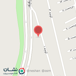 عکس میت برگر