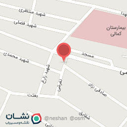 عکس سبزیجات آماده ناردون