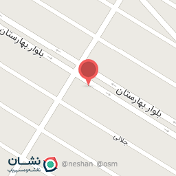 عکس کیف وکفش سعید