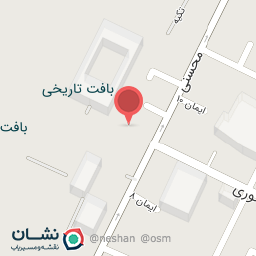 عکس فرش نبیونی