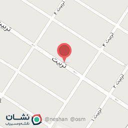 عکس الکتریکی رضوان