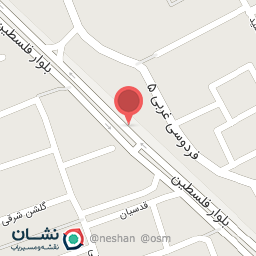 عکس پیتزا نارنجی 