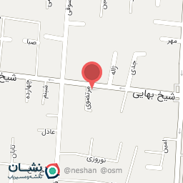 عکس پیتزا و همبرگر علاالدین