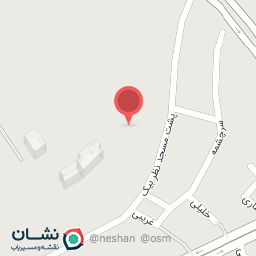 عکس تهیه غذای پارسه