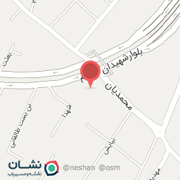 عکس مکانیکی حسن پاشایی