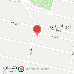 عکس قصابی امین مسعودی