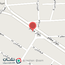 عکس پاپاویچ