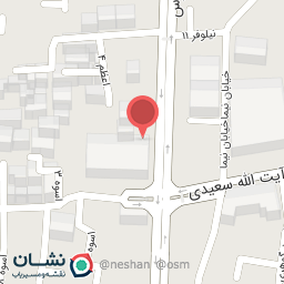 عکس فروشگاه موبایل رزگلد