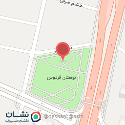 عکس مدرسه فوتبال فردوس